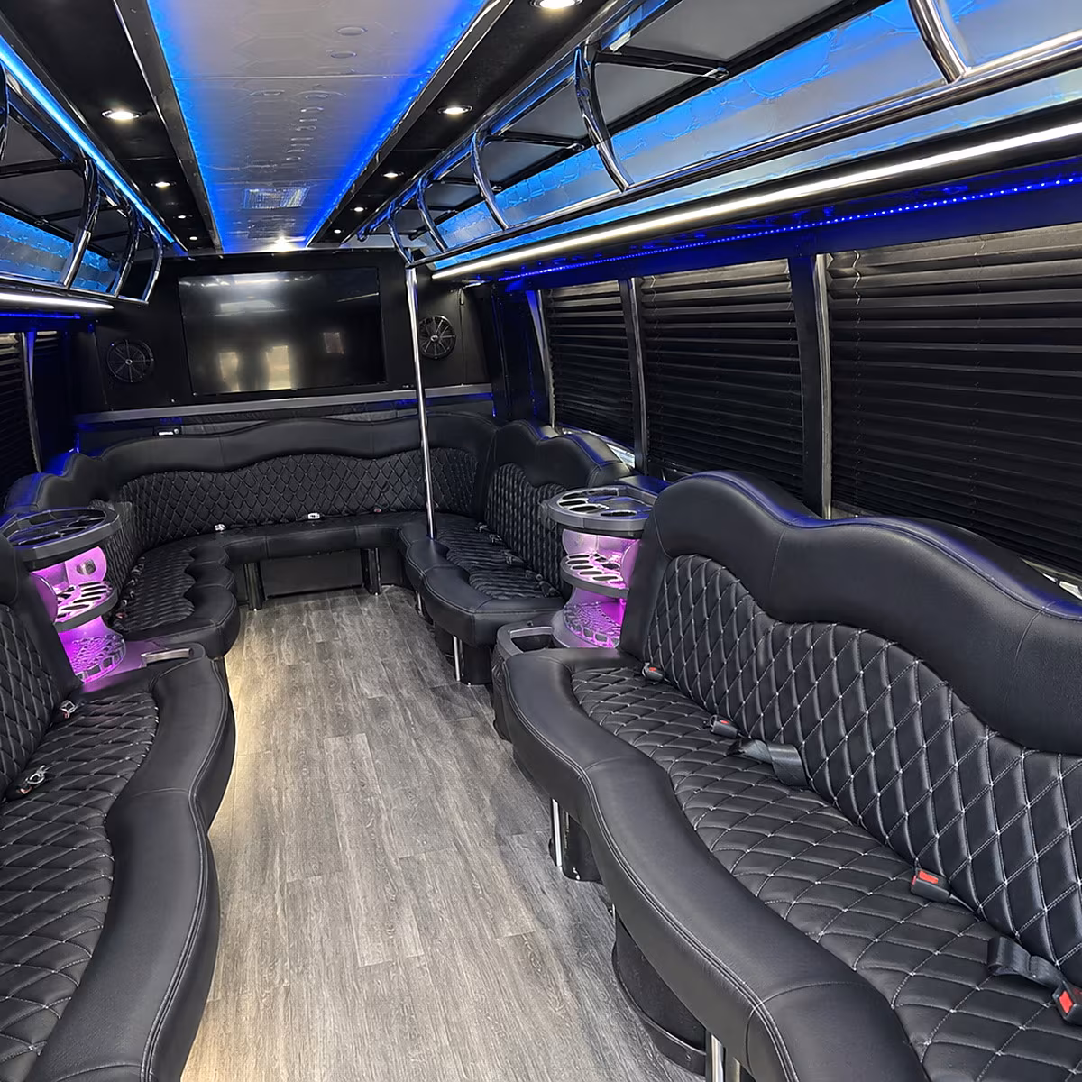 carson city birthday party bus rental