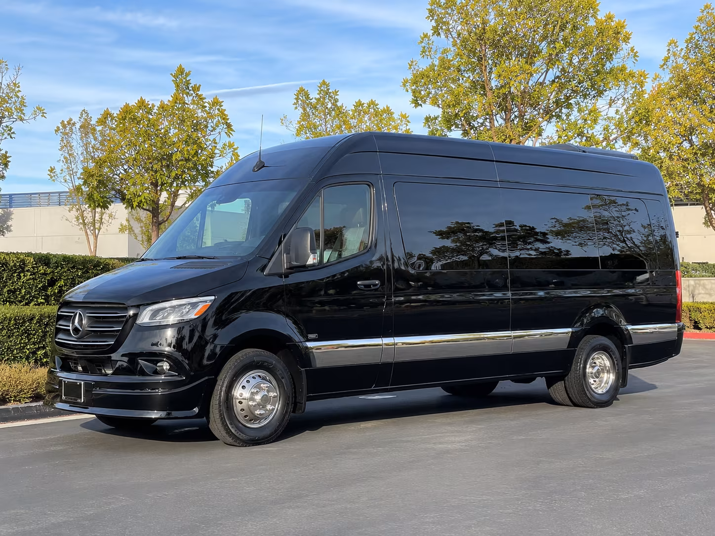 carson city sprinter van with driver